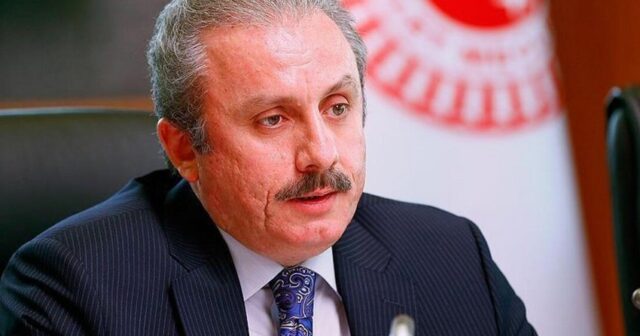 Türkiyə parlamentinin sədri Gürcüstana rəsmi səfər edəcək