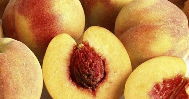 Şaftalı həzm sistemini yaxşılaşdırır