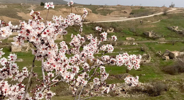 Britaniya səfiri Cəbrayıla səfər edib