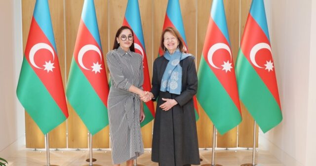 Mehriban Əliyeva Böyük Britaniya Baş nazirinin Azərbaycan üzrə ticarət elçisi ilə görüşüb – Fotolar
