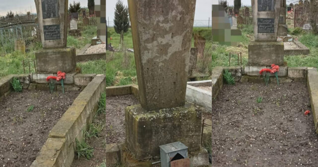 Azərbaycanda dəhşət: şəhid məzarı baxımsız vəziyyətə düşdü – FOTOLAR