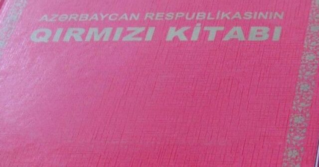 Bəzi heyvanların adları “Qırmızı kitab”dan çıxarılacaq