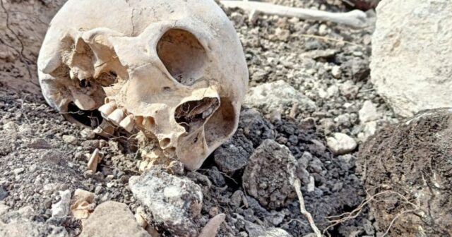 Fərruxda aşkarlanan meyit qalıqları ekshumasiya edilib