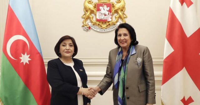 Milli Məclisin sədri Gürcüstan Prezidenti ilə görüşüb