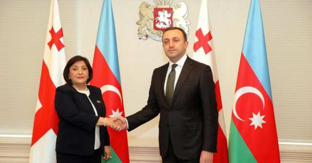 Sahibə Qafarova Gürcüstanın Baş naziri ilə görüşüb