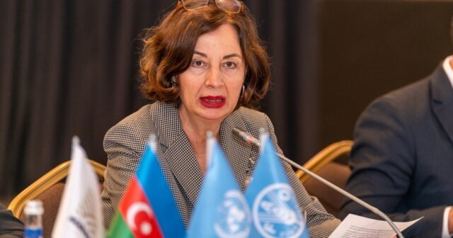 FAO-nun Zəngilandakı qoruğun bərpasına dəstək verəcəyi tarix açıqlanıb