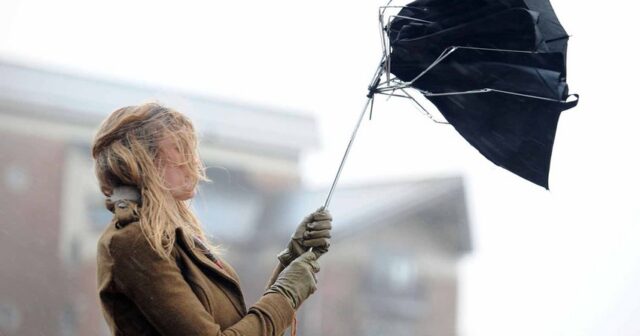 Bakıda güclü külək nəticəsində 6 qadın xəsarət alıb