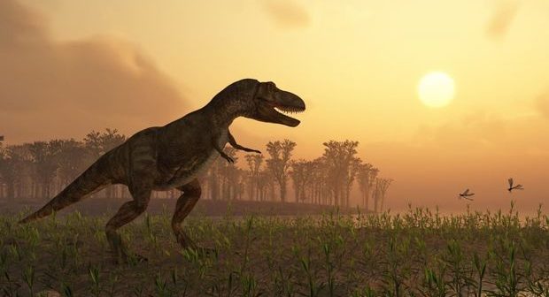 Buldoq üzlü yeni dinozavr növünün qalıqları tapılıb