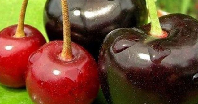 Çox gilas yemək təhlükəlidir