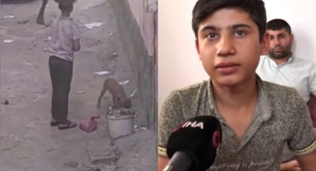 Simit satan yeniyetmənin sahibsiz heyvanları yemləməsi izləyənləri duyğulandırdı – VİDEO