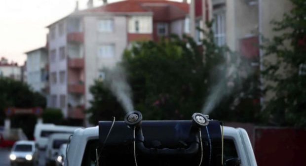 İstanbulda “Aedes” həyəcanı: Əhali narahatdır – FOTO