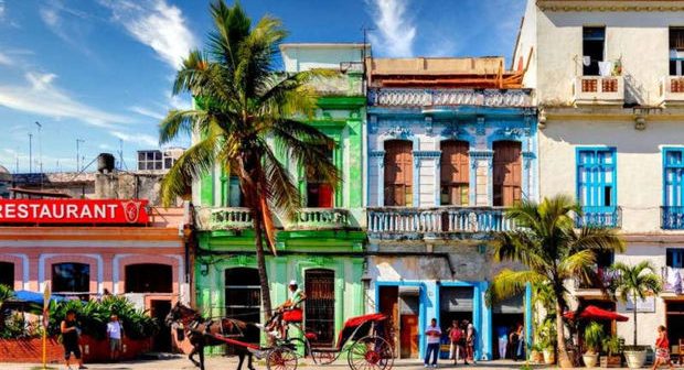 Kubalılar referendumda eynicinsli nikahların qanuniləşdirilməsinə səs veriblər