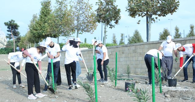 Bayıl qəsəbəsində ağacəkmə aksiyası həyata keçirildi