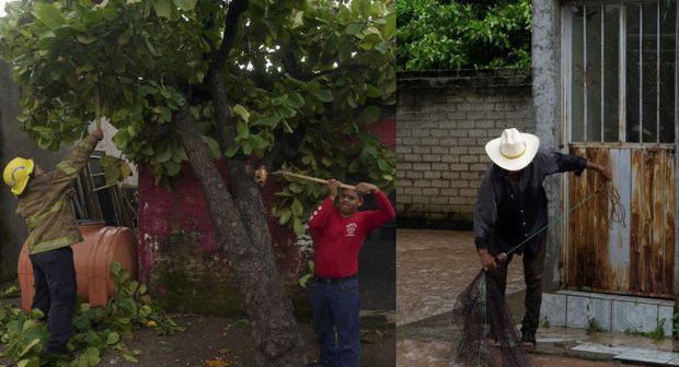 Meksikada qasırğa: Təhsilə ara verildi – FOTO