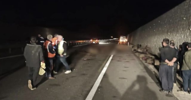 Qəza nəticəsində 95 qoyun tələf oldu