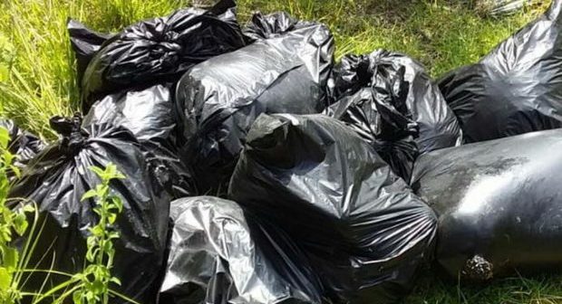 Meksikada 50 çuval insan qalığı tapılıb – FOTO