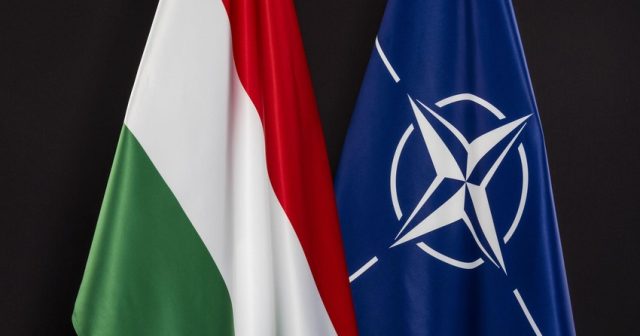Macarıstan müdafiə naziri ilə NATO Baş katibi arasında telefon danışığı olub