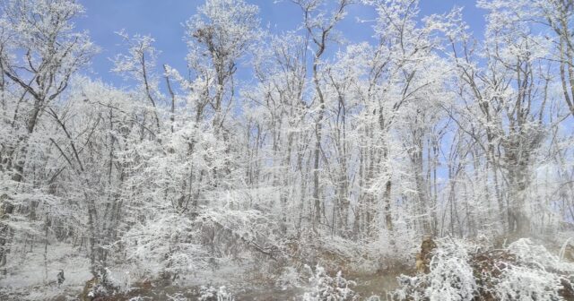 Azad edilmiş Azərbaycan torpaqları ağ örpəyə bürünüb – FOTOREPORTAJ