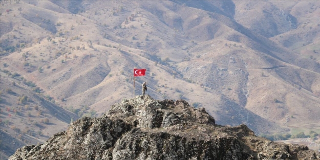 Terrorçulardan təmizlənən Cudi dağında həyat canlanmağa başlayır