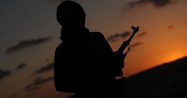 PKK-nın daha 2 terrorçusu təslim olub