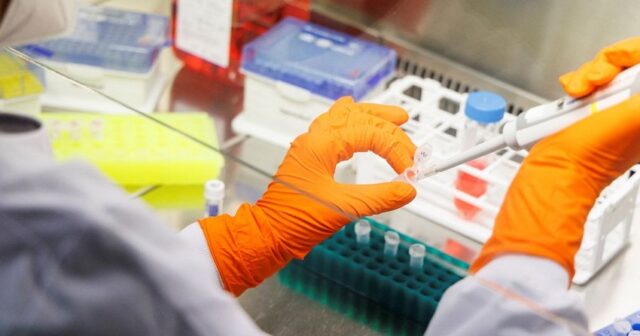 Koronavirusun “Super Variant” ştamı pandemiyanın növbəti dalğasına səbəb ola bilər