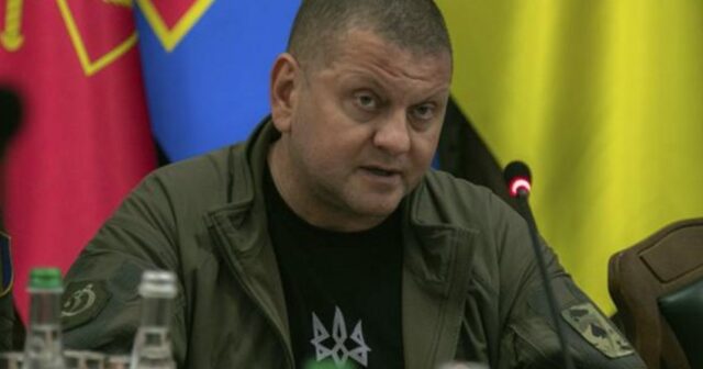 Zalujnı Ukrayna Ordusunun bu il Mariupolu azad edəcəyinə söz verib