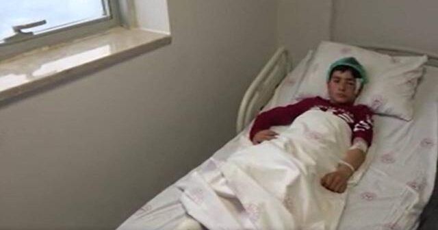 Qoyun otaran 12 yaşlı oğlan itin hücumuna məruz qalıb