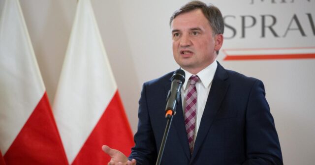 Polşada meşədə tapılan hərbi təyyarənin qalıqları araşdırılır