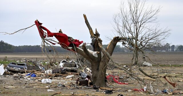 Yeni Zelandiyada iki tornado 50-yə yaxın evə ziyan vurub