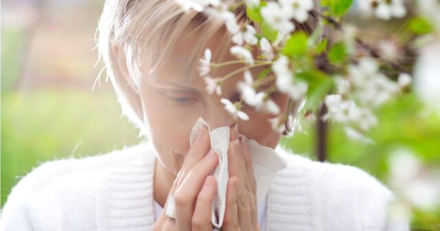 Fransada polen allergiyası ilə bağlı 81 bölgədə xəbərdarlıq edilib