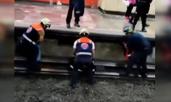 Toyuqlar relslərdə metronun fəaliyyətini dayandırdı