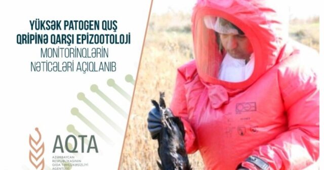 Azərbaycanda monitorinq keçirilib, quş qripi aşkarlanmayıb