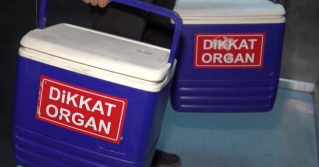 Beyin ölümü olan xəstənin orqanları 4 nəfərə ümid olacaq