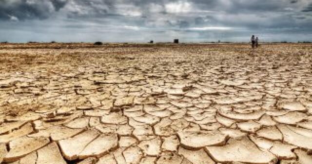 2045-ci ilə qədər səhralaşma səbəbindən 135 milyona yaxın insan öz evlərini tərk edə bilər
