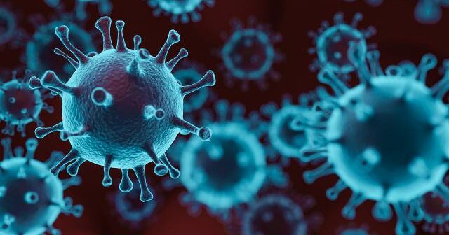 Yeni viruslar yayıldıqca COVID-19 yoluxmaları yayda arta bilər – Financial Times