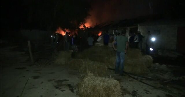 Cəlilabadda təsərrüfatda yanğın olub, sakinə 15 minə yaxın ziyan dəyib – FOTOLAR