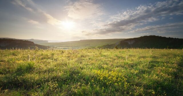 Bu gündən hava şəraiti sabitləşəcək, havanın temperaturu yüksələcək