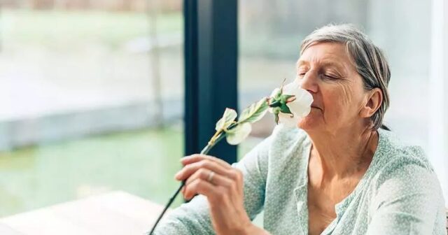 Qoxu itkisi Alzheimer əlamətidir