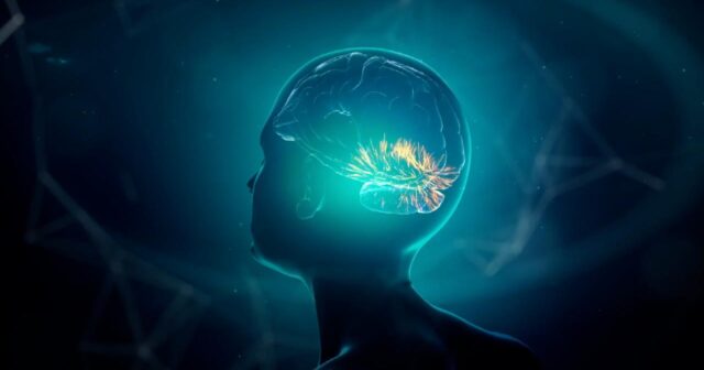 Alimlər Alzheimer xəstəliyi ilə bağlı yeni diaqnoz qoyublar