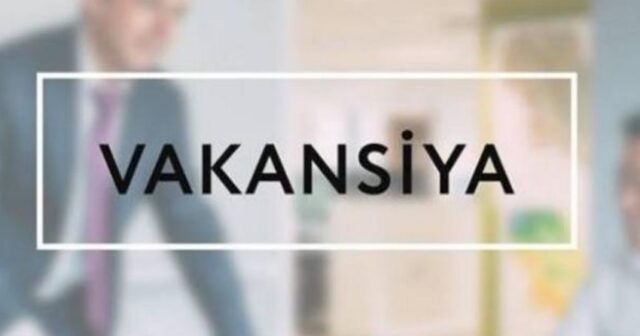Şuşa və Füzuli məktəblərində vakant müəllim yerləri üzrə vakansiya seçimi başlayıb