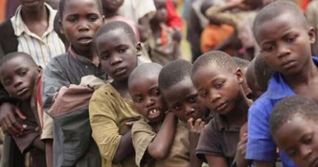 UNICEF: Nigeriyanın şimal-şərqində 1,6 milyon uşağın təhsilə ehtiyacı var