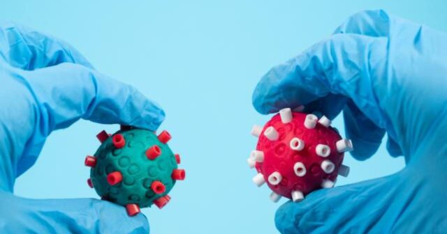 ÜST COVID-19-un yeni variantlarına qarşı daha çox test verməyə çağırıb