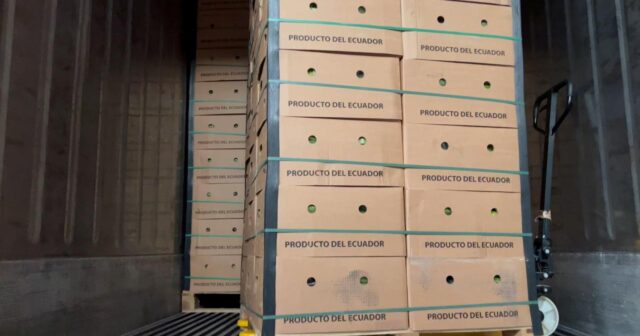 İspaniyada bananların içində gizlədilən 9,4 ton kokain ələ keçirilib