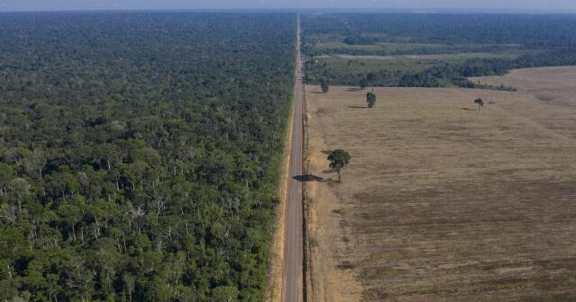 Braziliya Amazonunda quraqlıq təhlükəsi 500 min insana mənfi təsir göstərə bilər