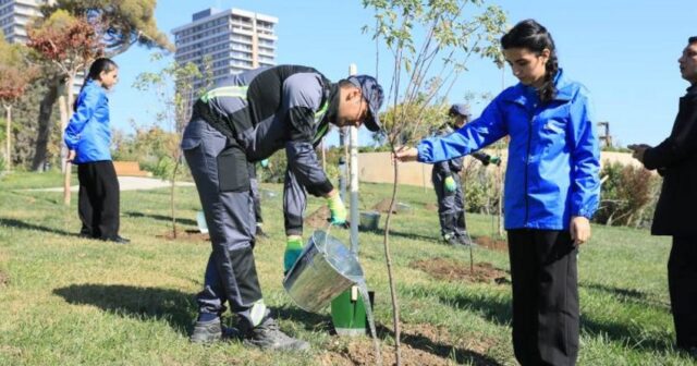 Bakıda növbəti ağacəkmə aksiyası keçirilib