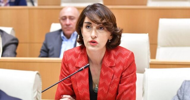 Deputat: “Gürcüstan Ermənistanla Azərbaycan arasında sülhün əldə olunmasına çalışır”