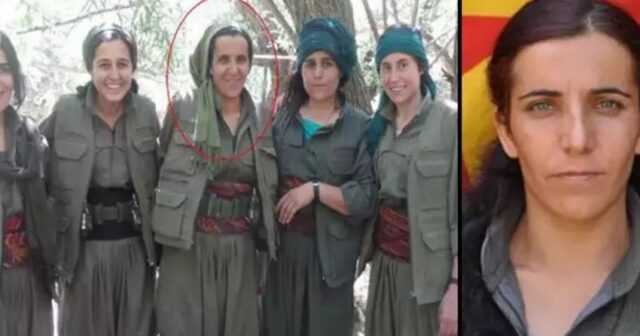 Türkiyə kəşfiyyatı PKK-nın “rəhbər şəxsi”ni məhv edib