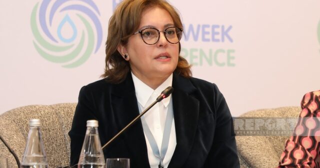 Umayra Tağıyeva: “Su probleminin həllində regional əməkdaşlıq edə bilmirik”