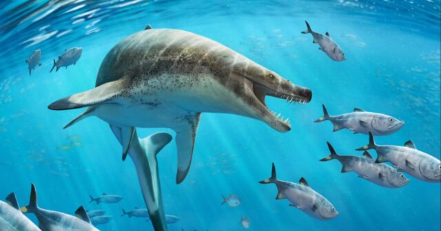 Dinozavrlar dövründə yaşamış nəhəng dəniz kərtənkələsinin növü aşkar edilib