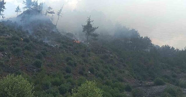 Türkiyədə meşə yanğınına müdaxilə edən helikopter QƏZAYA UĞRADI – FOTO